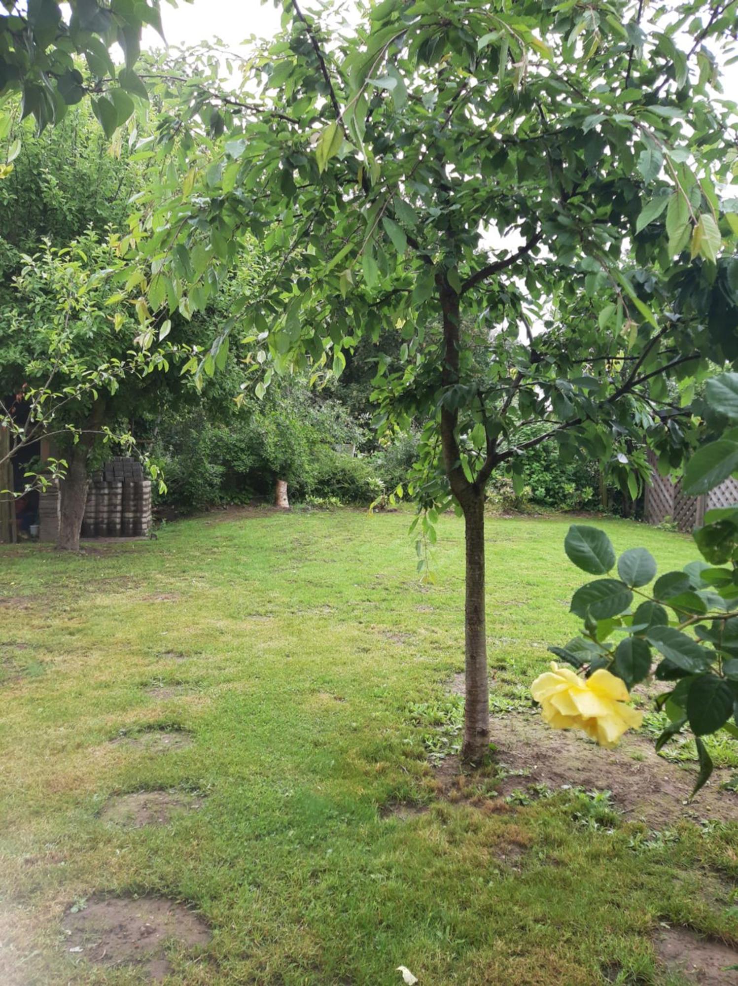 Seeperle Eckernförde المظهر الخارجي الصورة
